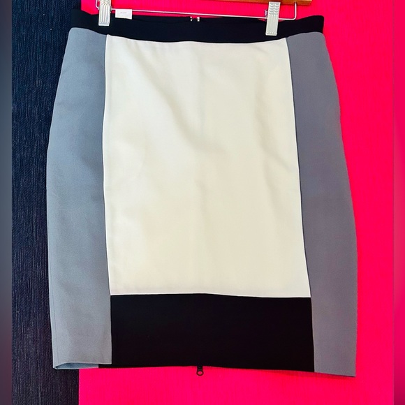 Narcisco Rodriguez for Design Nation Color-block pencil skirt size 4 - Picture 8 of 8